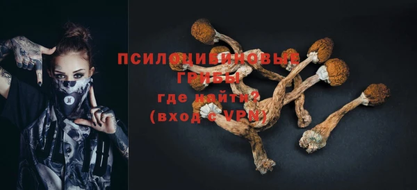 экстази Горняк