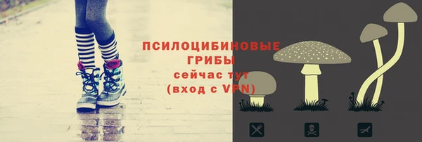 соль ск Гусев