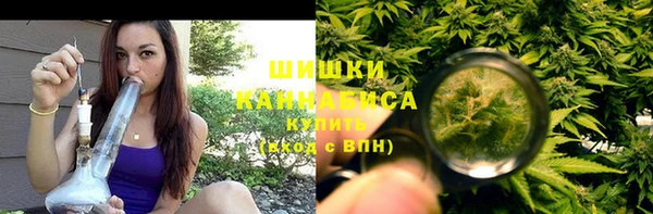 соль ск Гусев