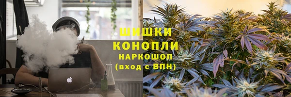 соль ск Гусев